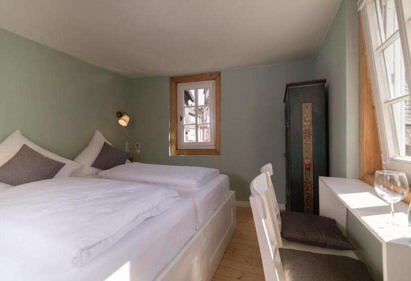 اتاق استاندارد با تخت بزرگ, Boutique Hotel Stadtherberge Wetzlar