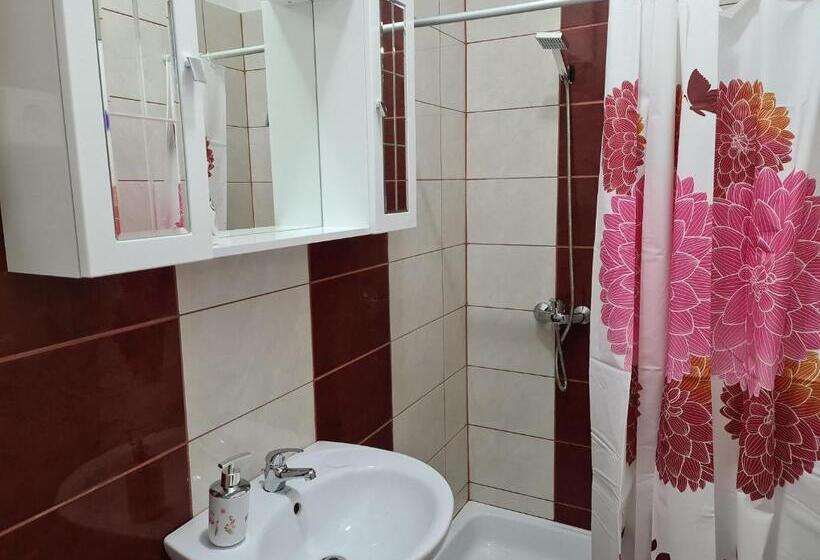 اتاق خانوادگی, Amina Apartman