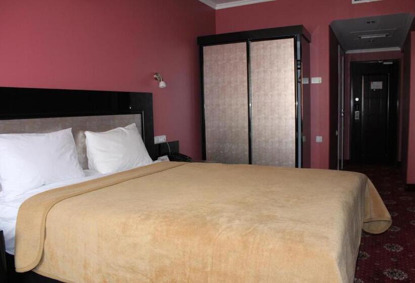 اتاق استاندارد یک نفره, Erebuni Hotel Yerevan