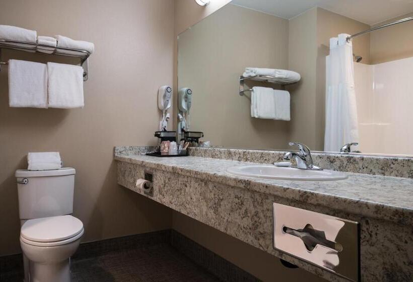 اتاق استاندارد با تخت بزرگ, Harbor 360 Hotel Seward