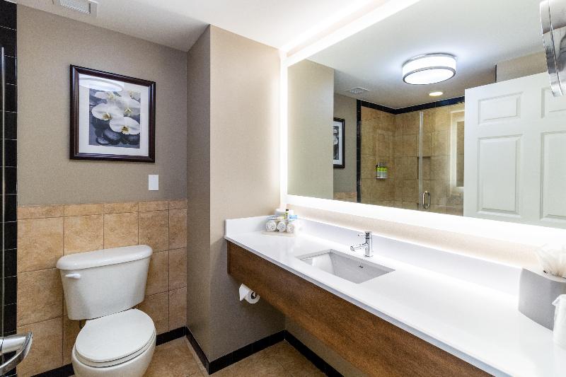 اتاق استاندارد با تخت بزرگ, Holiday Inn Express Savannah   Historic District