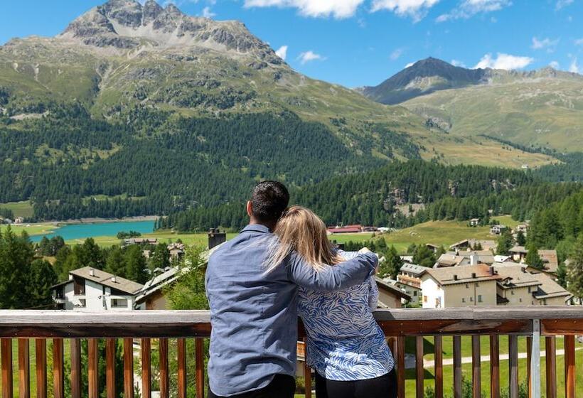 سوییت جونیور, Nira Alpina