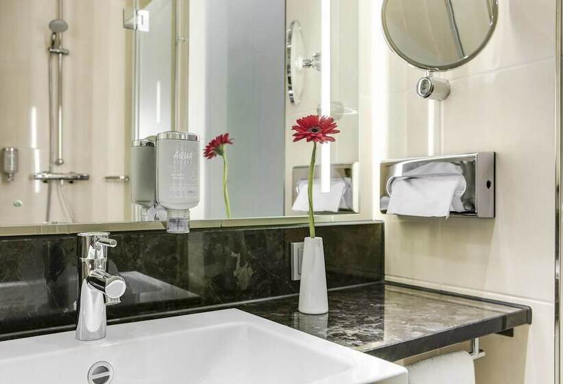 Номер Стандарт, Intercityhotel Bonn