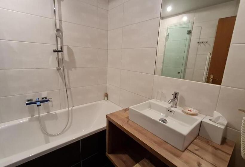 اتاق استاندارد یک نفره, Sport Und Familienhotel Klausen