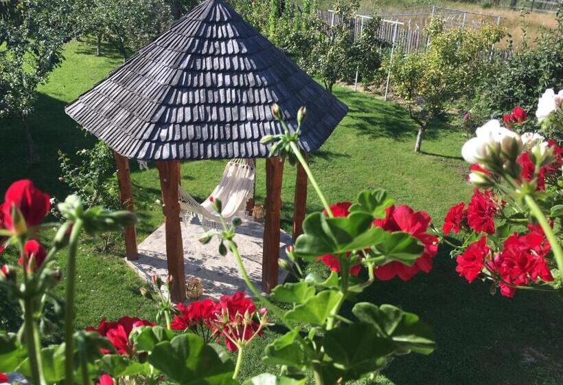 آپارتمان 1 خوابه با چشم‌انداز باغ, Casa Moldovan