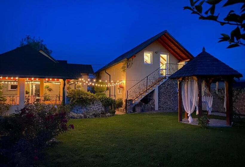 آپارتمان 1 خوابه با چشم‌انداز باغ, Casa Moldovan