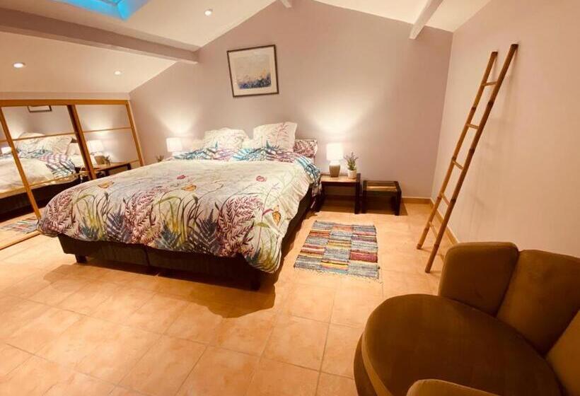 اتاق استاندارد با تخت بزرگ, La Villa Des Ames Liées