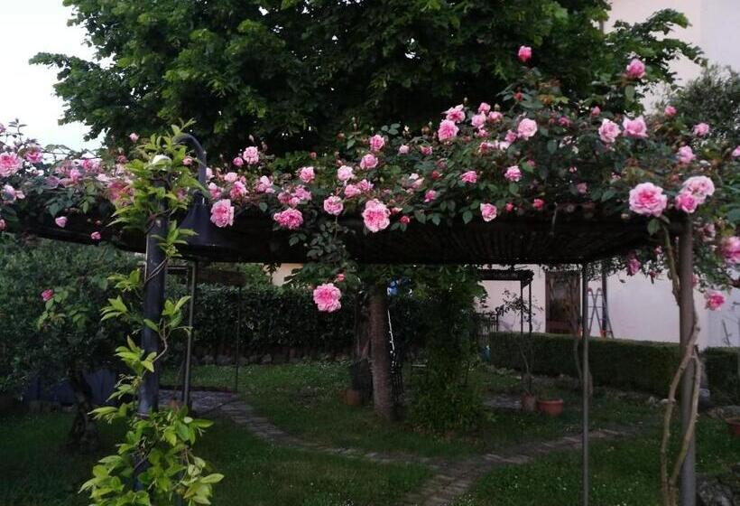 اتاق استاندارد, Happy Family B&b