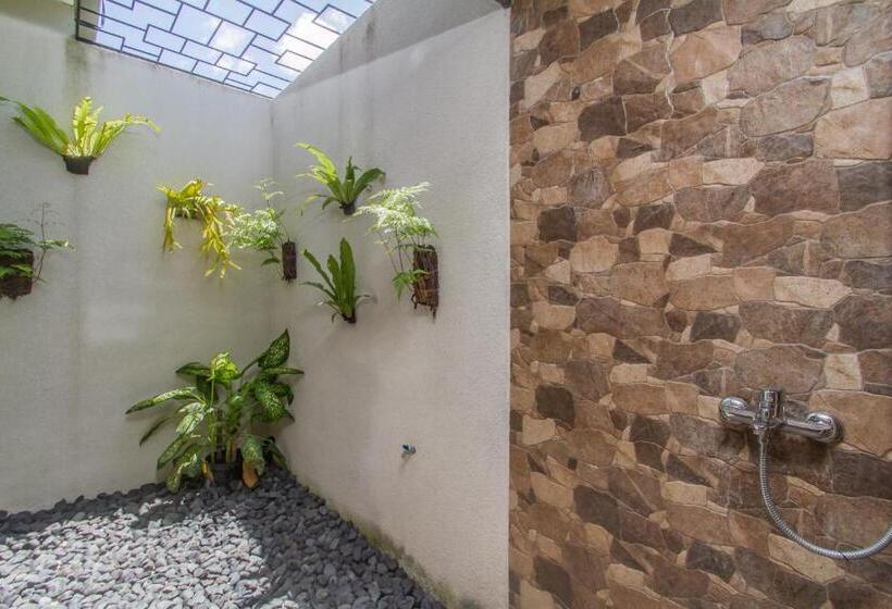 سوییت با چشم‌انداز باغ, Mailaku House