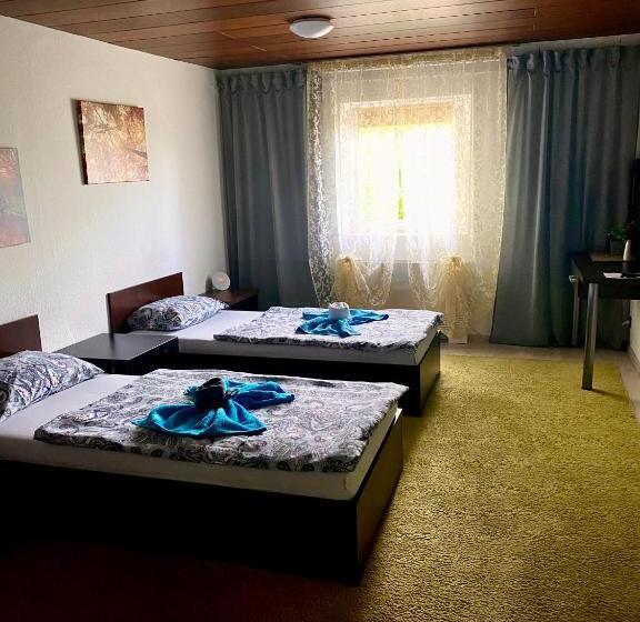 اتاق استاندارد با سرویس بهداشتی مشترک, Riedwirtshaus