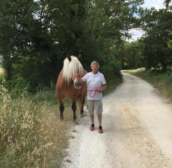 اتاق استاندارد, B&b Et Gite D Ayran