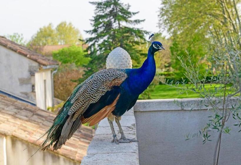 اتاق لوکس, Bastide De Bellegarde