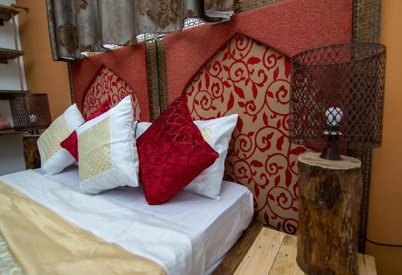 استودیوی سوپریور, La Koquillishe