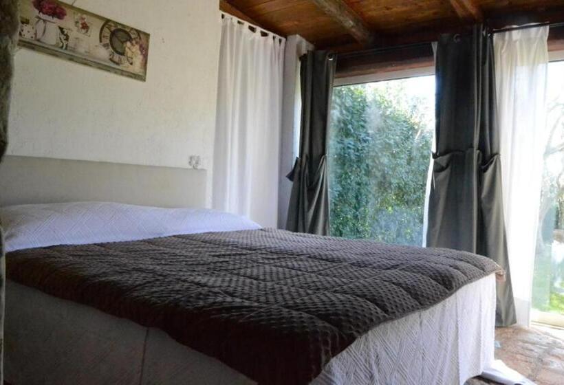اتاق استاندارد چهار تخته, Oasi Di Campagna