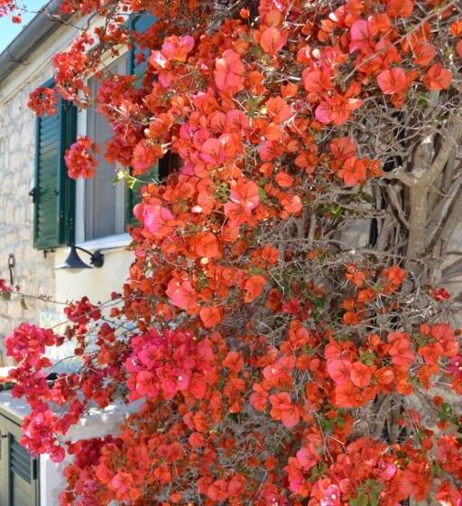 اتاق استاندارد چهار تخته, Oasi Di Campagna