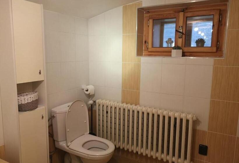 آپارتمان 1 خوابه همکف, Penzion 166   Herlíkovice