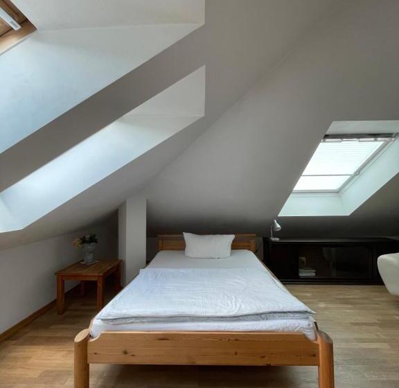 اتاق استاندارد یک نفره, Villa Harmonie