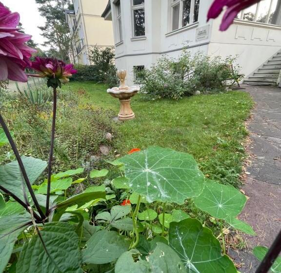 آپارتمان 1 خوابه همکف, Villa Harmonie