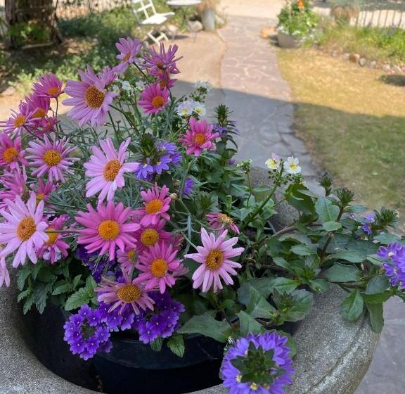 آپارتمان 1 خوابه همکف, Villa Harmonie