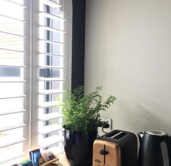 标准工作室, The Stables Dunedin