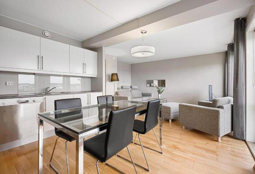 آپارتمان 2 خوابه, Bjørvika Apartments   Forus Leilighetshotell