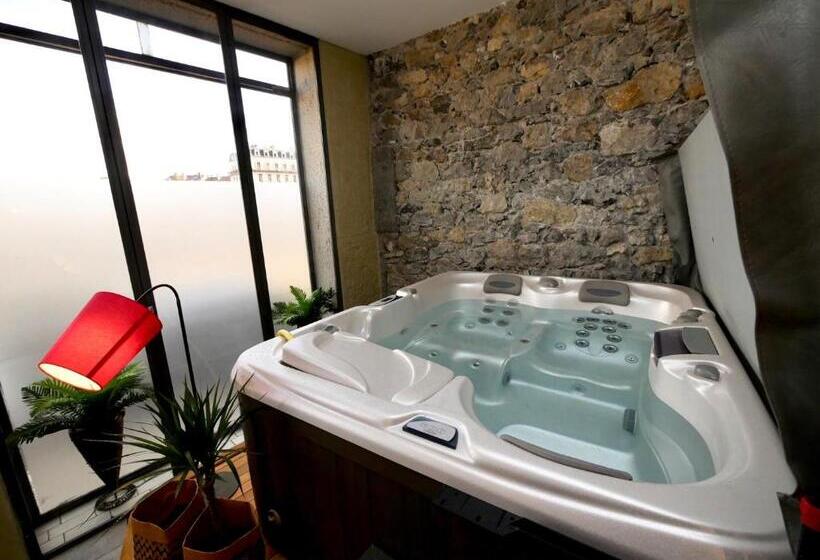 آپارتمان 1 خوابه با چشم‌انداز, Appartement Spa Privatif Grenoble At Home Spa