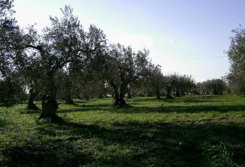 اتاق لوکس, Agriturismo Baglio Calanchi