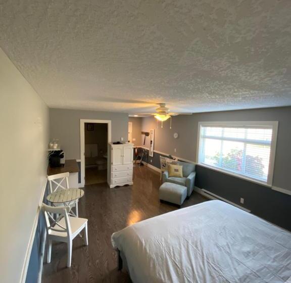 استودیو استاندارد با تخت کینگ, Guest Suites On Benvenuto