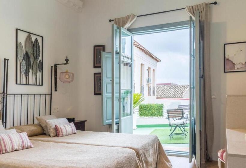 اتاق استاندارد با تراس, La Casa De Los Coy