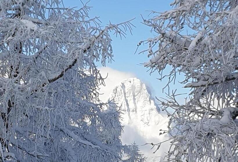 آپارتمان 1 خوابه, Höss Alpin Lodge
