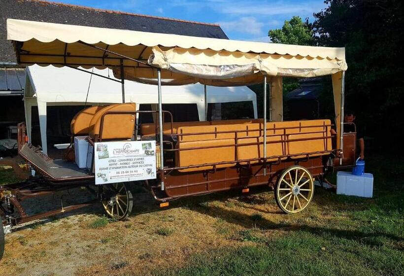 اتاق خانوادگی, Les Chevaux De L Hippocampe