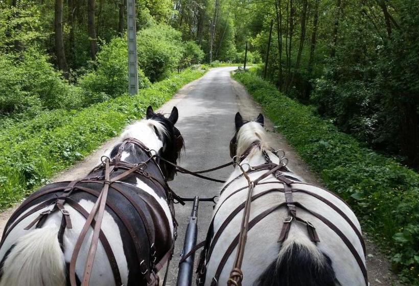 اتاق خانوادگی, Les Chevaux De L Hippocampe