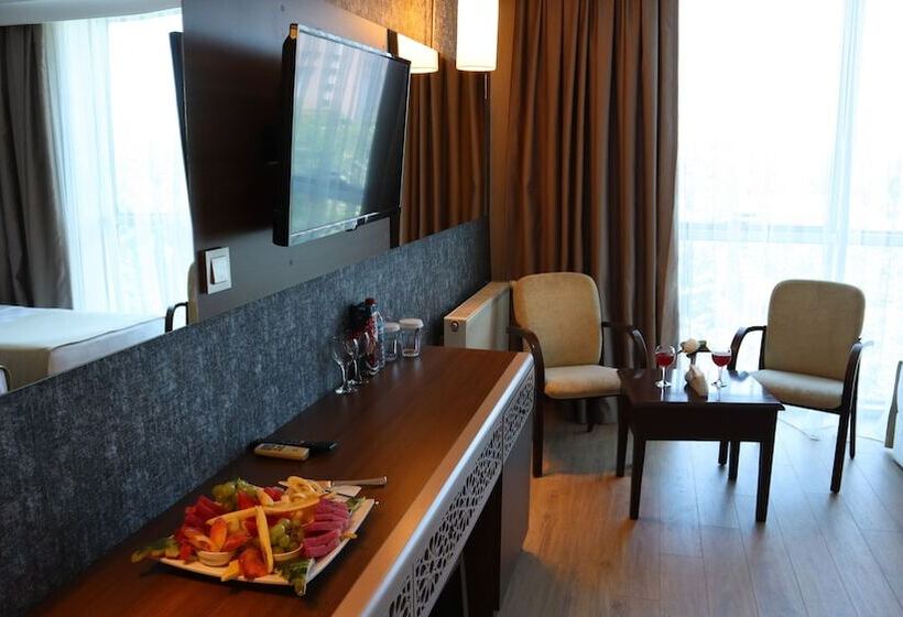 اتاق استاندارد یک نفره, Bm Hotel City