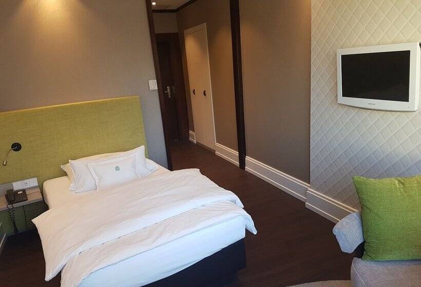 اتاق سوپریور یک تخته, Insel Hotel Heilbronn