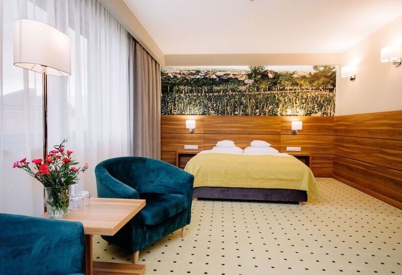 اتاق راحتی, Ruben Hotel Zielona Góra
