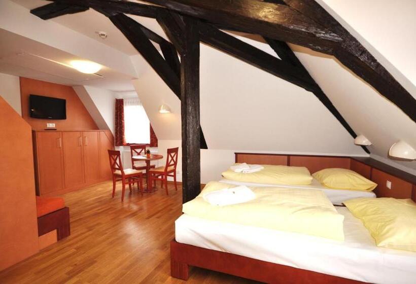 اتاق استاندارد, Jufa Hotel Meersburg Am Bodensee