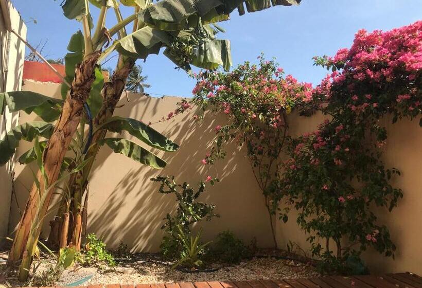 اتاق لوکس با بالکن, Casa éolica