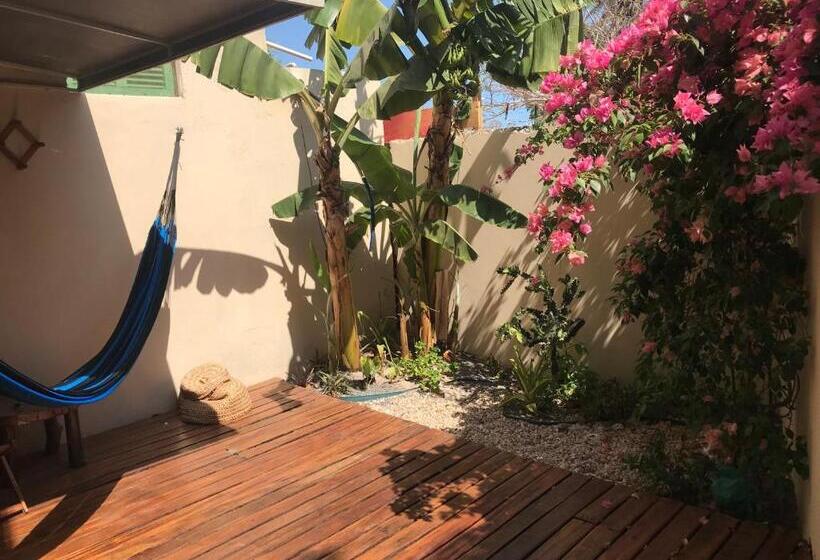 اتاق لوکس با بالکن, Casa éolica
