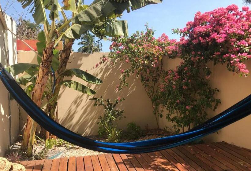 اتاق لوکس با بالکن, Casa éolica