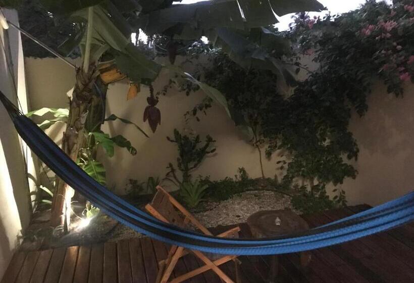اتاق لوکس با بالکن, Casa éolica