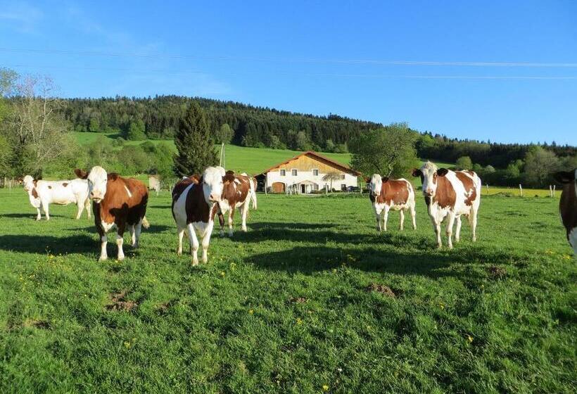 اتاق استاندارد برای معلولان, La Ferme Du Bonheur