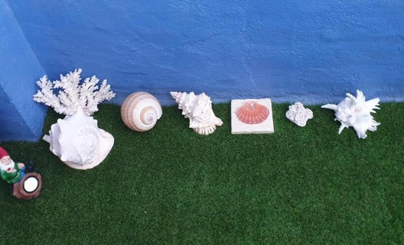 استودیوی سوپریور, Casa Amelia   Bed&breakfast