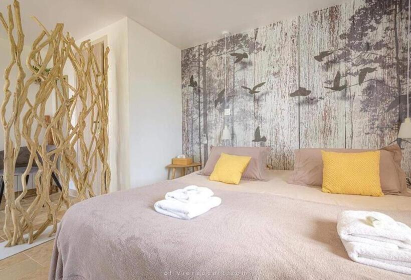 آپارتمان 1 خوابه با تراس, Chambres D Hôtes La Mascrabiere Bed & Spa