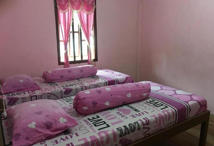 اتاق لوکس, Nias Kristov Surf Camp