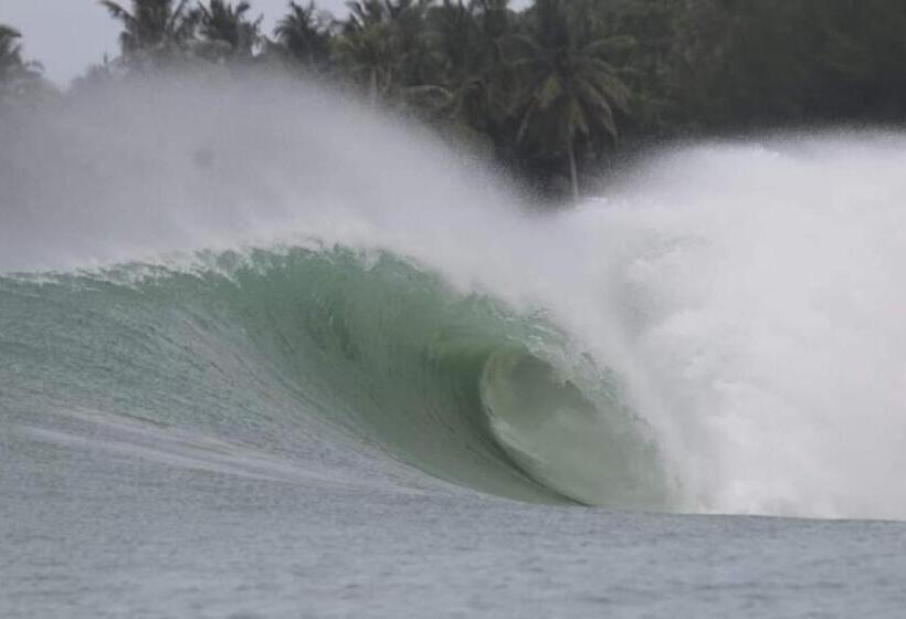 اتاق استاندارد, Nias Kristov Surf Camp