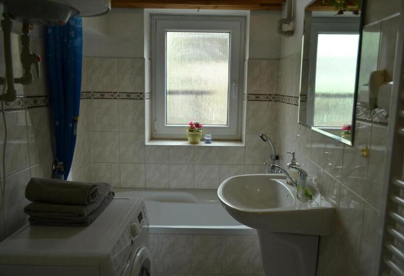 آپارتمان سوپریور 1 خوابه, Apartments  Vintag  Teplice