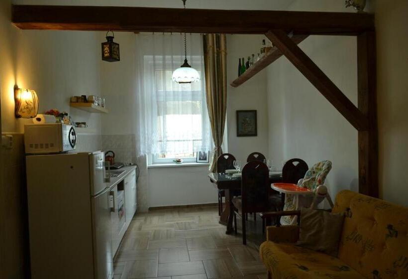 آپارتمان سوپریور 1 خوابه, Apartments  Vintag  Teplice