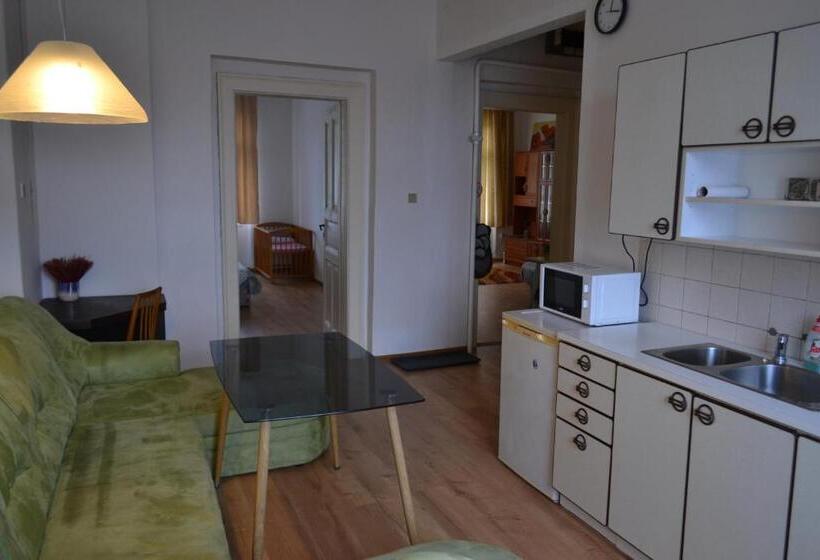 آپارتمان 1 خوابه, Apartments  Vintag  Teplice