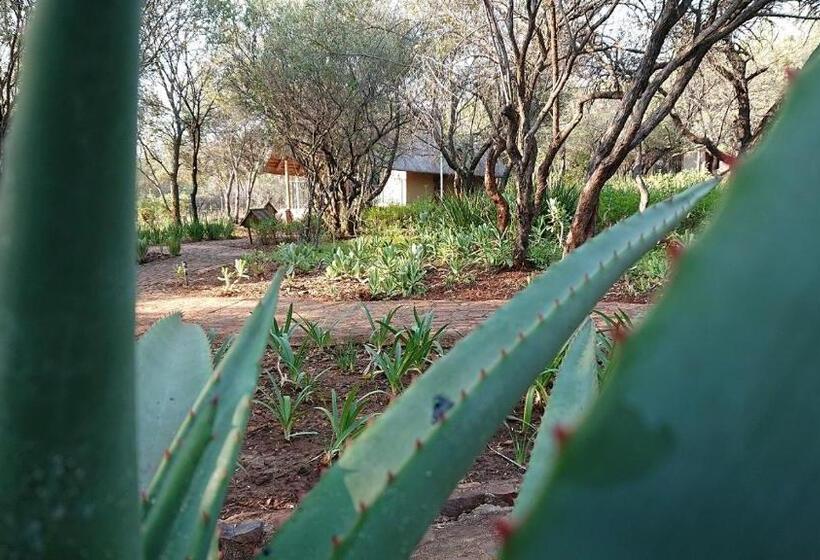 Superior Room with Terrace, Tidimalo Lodge