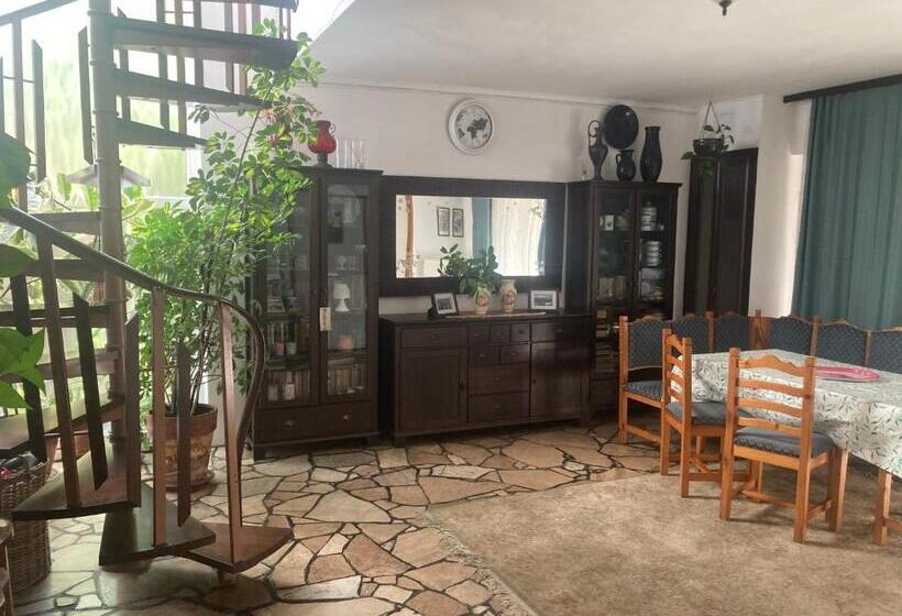 اتاق خانوادگی, Apartman Donau Tát